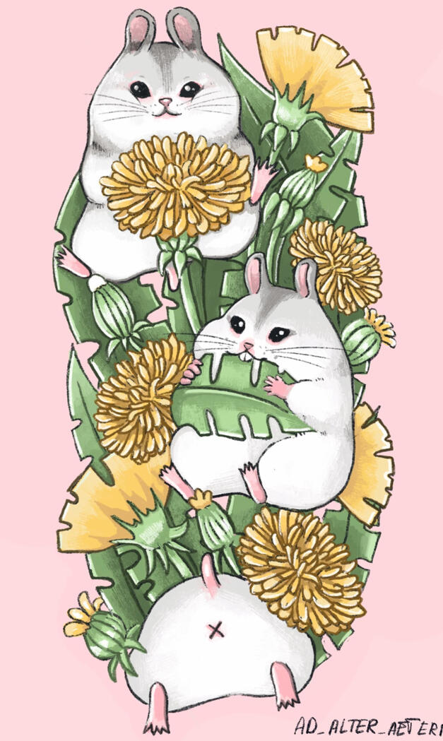 Hamster